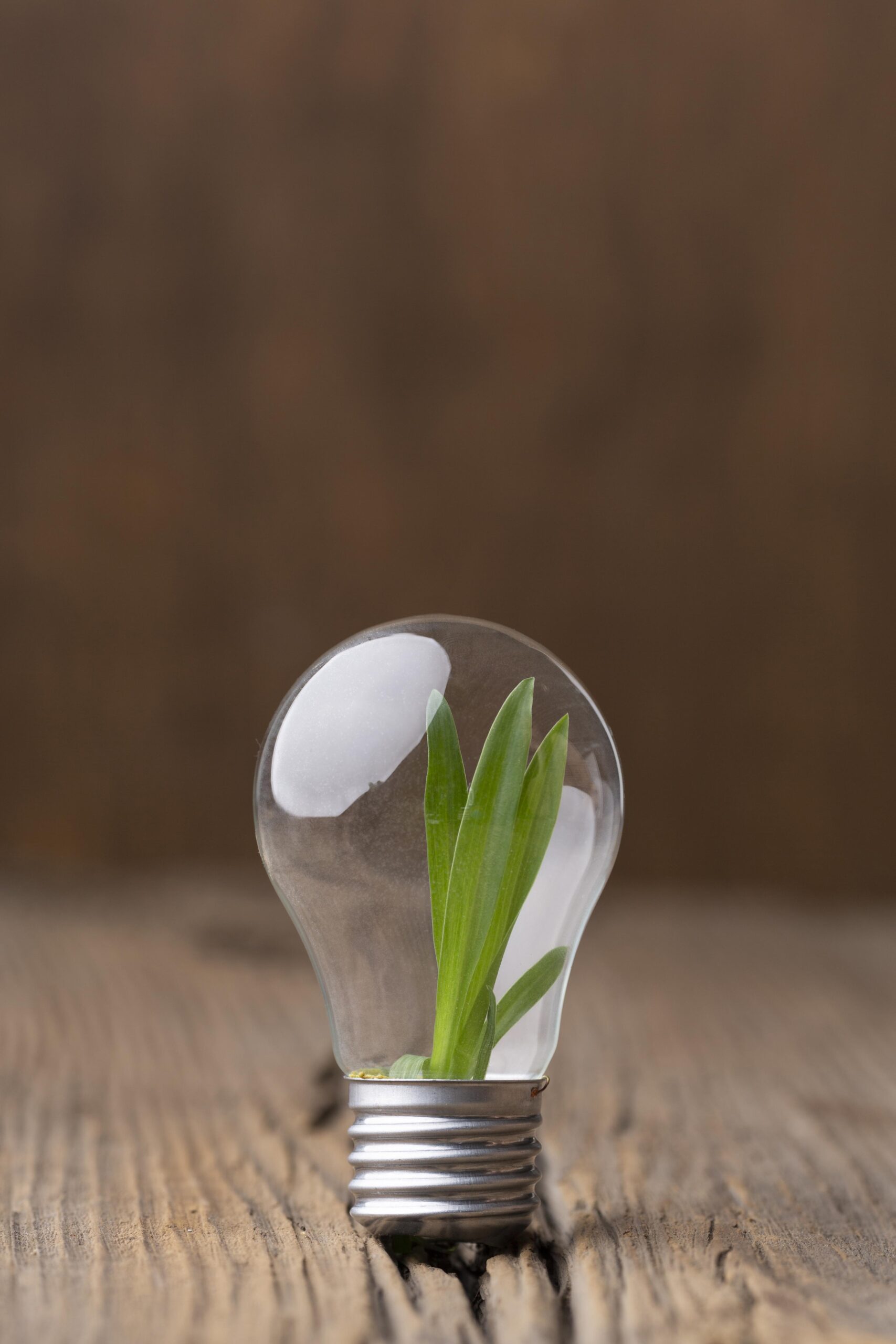 Rólunk szekció kép